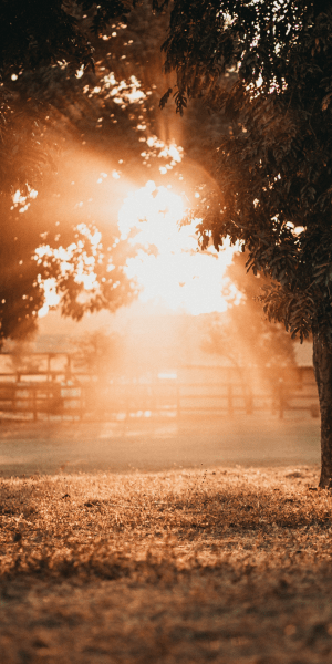 san luis obispo mental health treatment